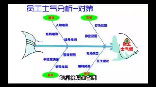 企業管理咨詢公司手把手教你如何使用魚骨圖